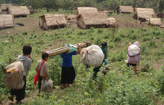 camp-management-and-development